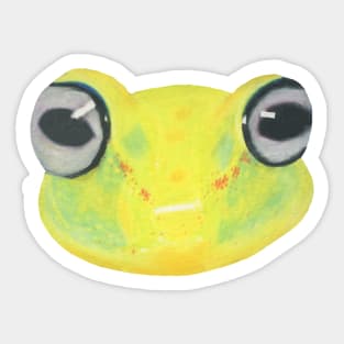 Polka Dot Tree Frog :: Reptiles and Amphibians Sticker